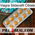 Viagra Sildenafil Citrate levitra1